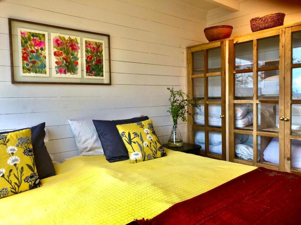 Lodge Calma Puerto Clocker